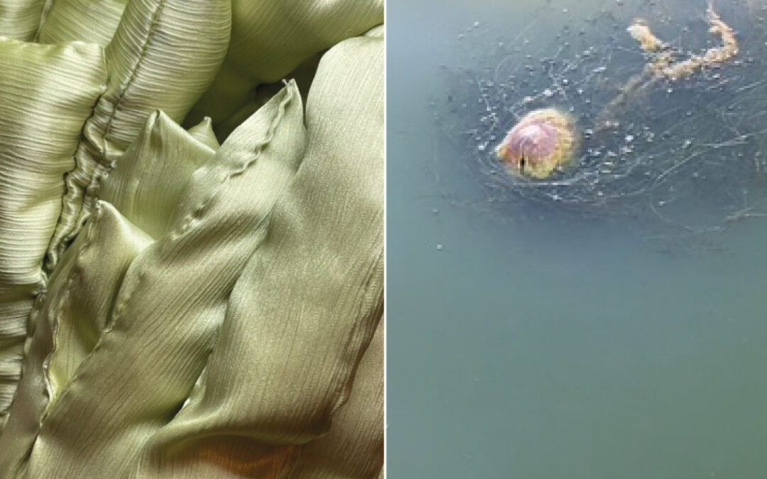 Viivi Osmonen & Siiri Torvinen