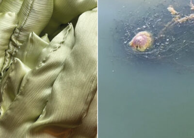 Viivi Osmonen & Siiri Torvinen