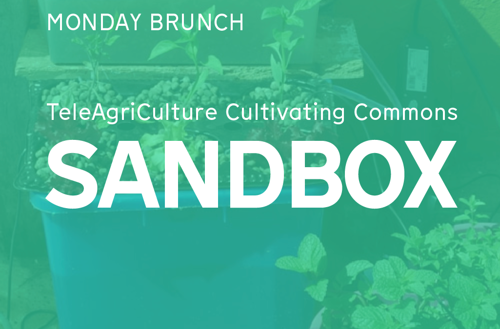 TeleAgriculture Sandbox